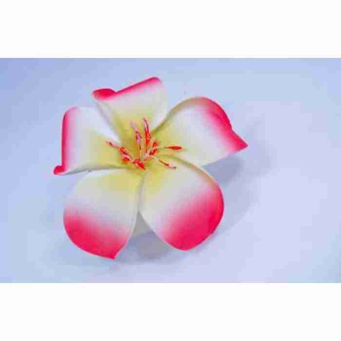 Hawaain Flower Hair Clip Fucshia White DSC0290