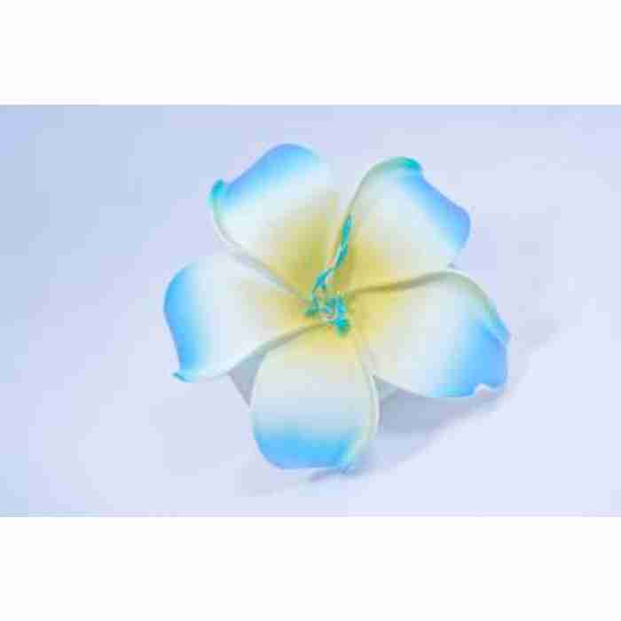 Hawaiin Flower Hair Blue and White Clip DSC0288