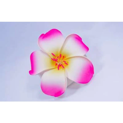 Hawaiin Flower Hair Clip Pink And White