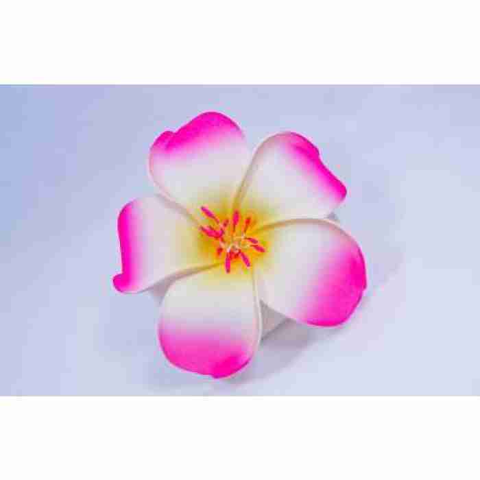 Hawaiin Flower Hair Clip Pink And White DSC0287