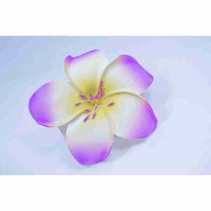 Hawaiin Flower Hair Clip Purple White DSC0289