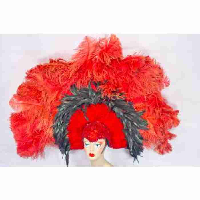 Headdress headress17