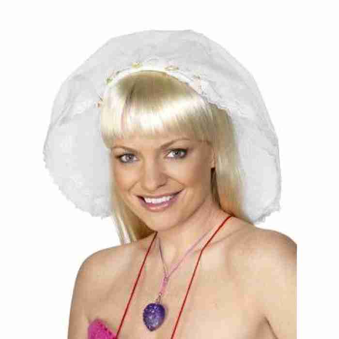 Hen Night Veil 21820smif img