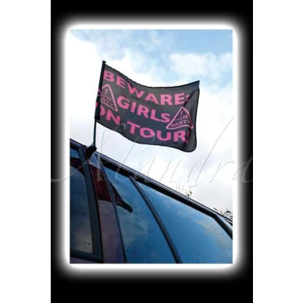 Hen Party Car Flag FLAG200 img