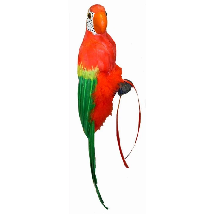 Inflatable Parrot - Image 1