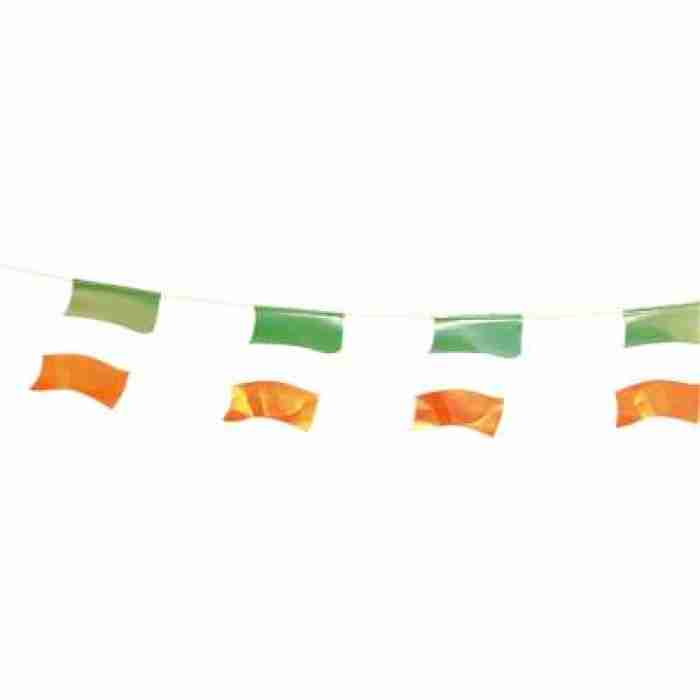 Irish Flag Burnting 12937
