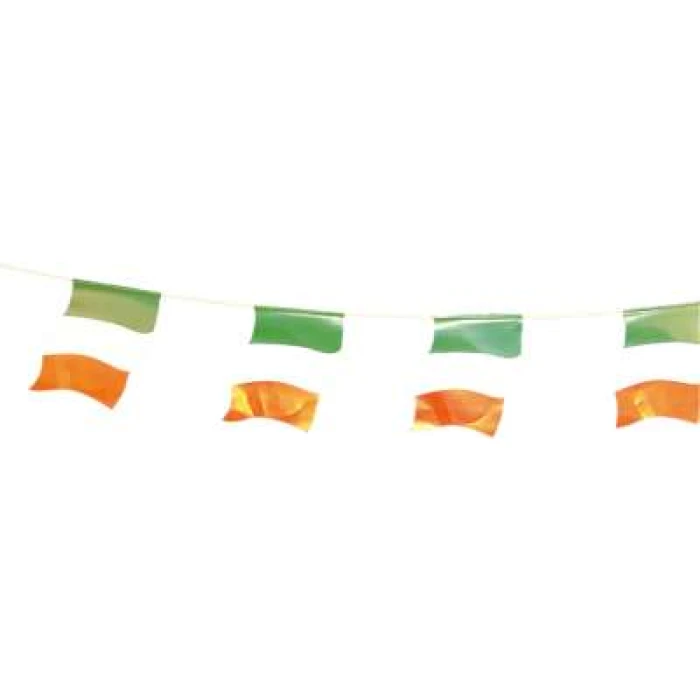 Irish Flag Burnting - Image 1