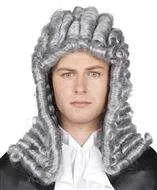 Judge Wig