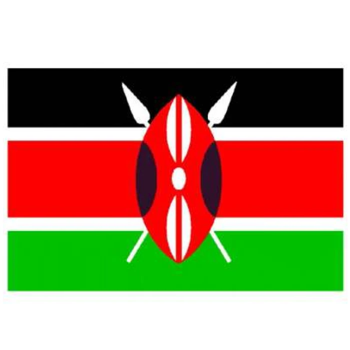 Kenya Flag - Image 1