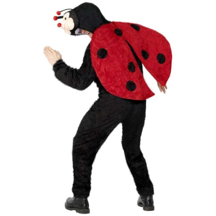 Ladybug Costume with hood 31670 img