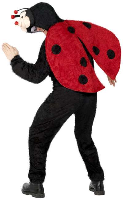 Ladybug Costume with hood 31670 img