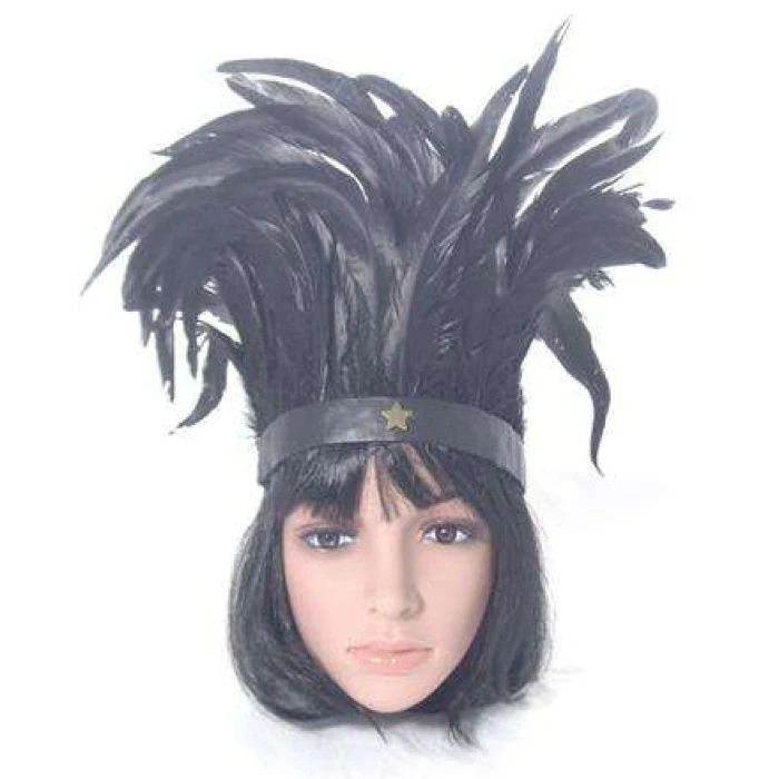 Large Back Feather Headdress - Image 1