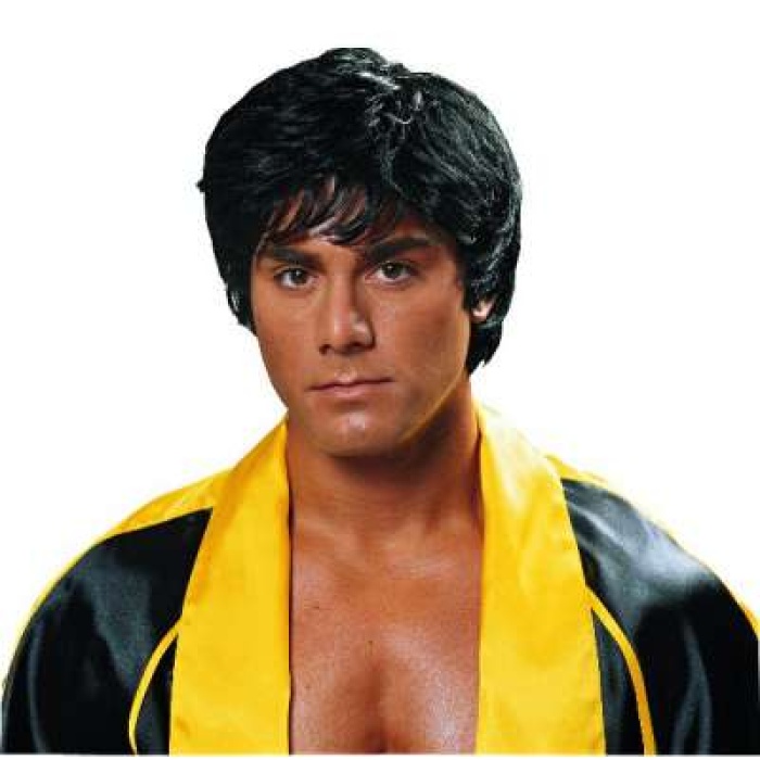 Licensed Rocky Wig 24779 01 img