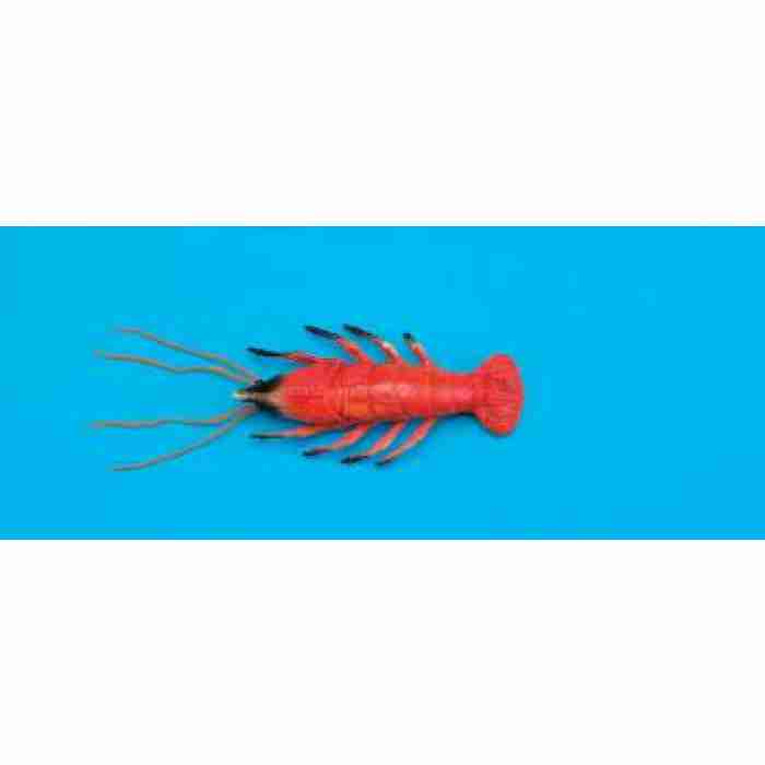 Lobster 18cm