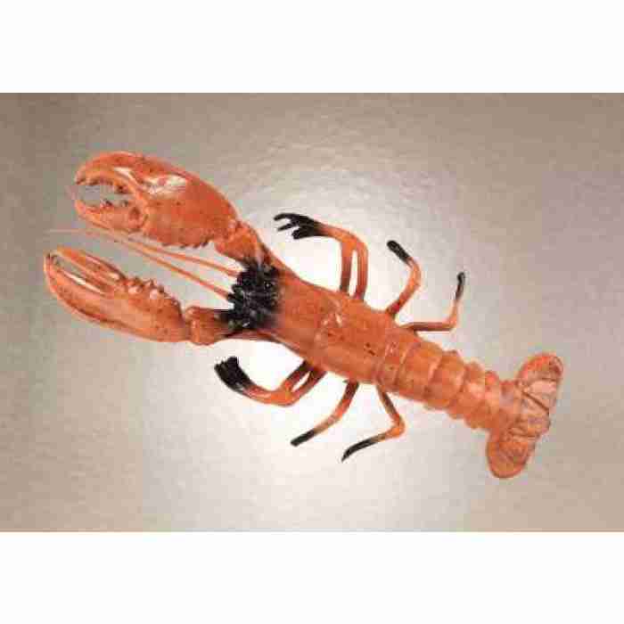 Lobster