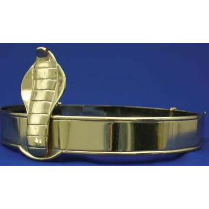 Mens Gold Snake Circlet