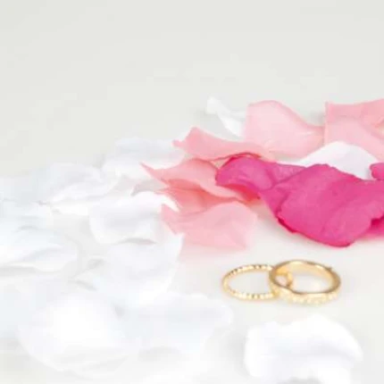 Mixed Coloured Rose Petals