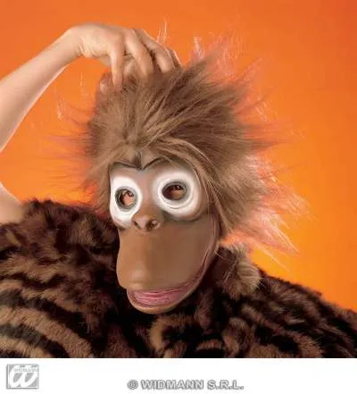 Monkey Mask