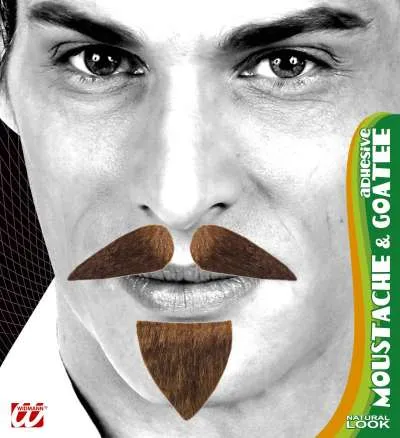 Moustache and Goatee Beard - Diplomat