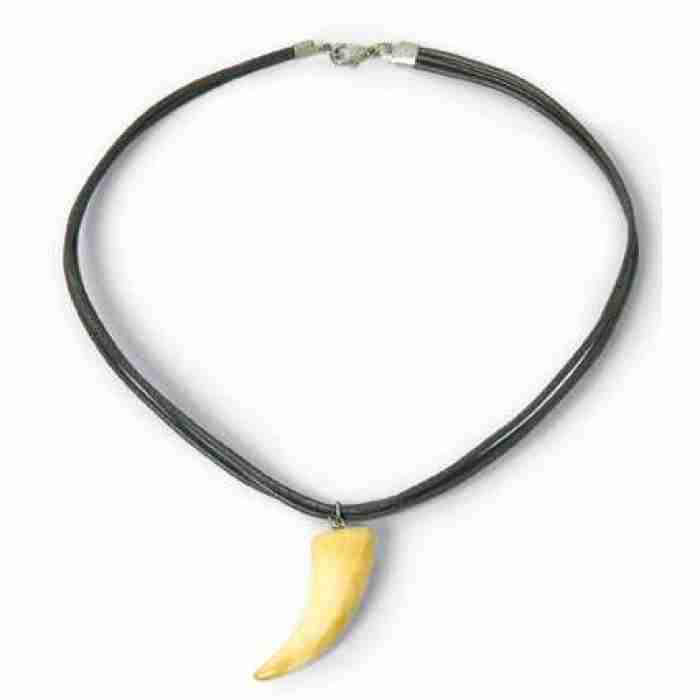 Necklace Single Tooth img img.