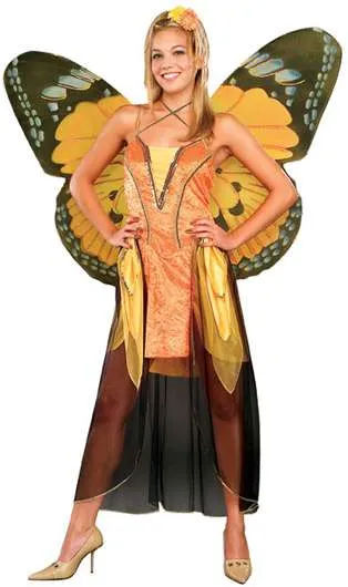 Orange Butterfly