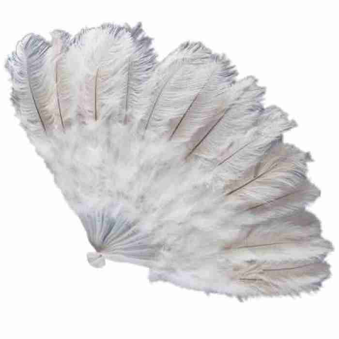 Ostrich Feather Fan 08562