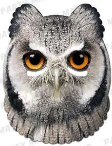 Owl Animal Mask Paper
