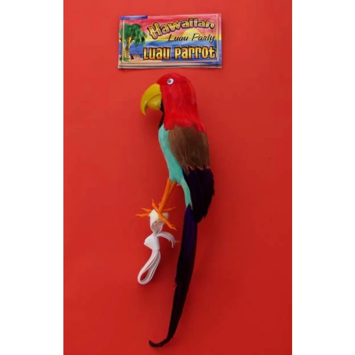 Parrot - Image 1