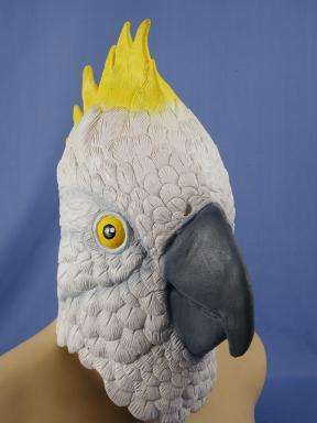 Parrot Mask