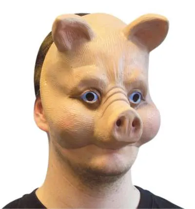 Pig mask