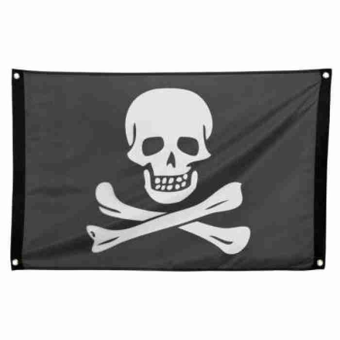 Pirate Flag 74162