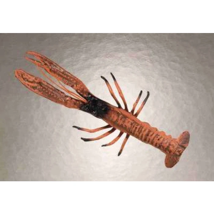 Prawn - Image 1