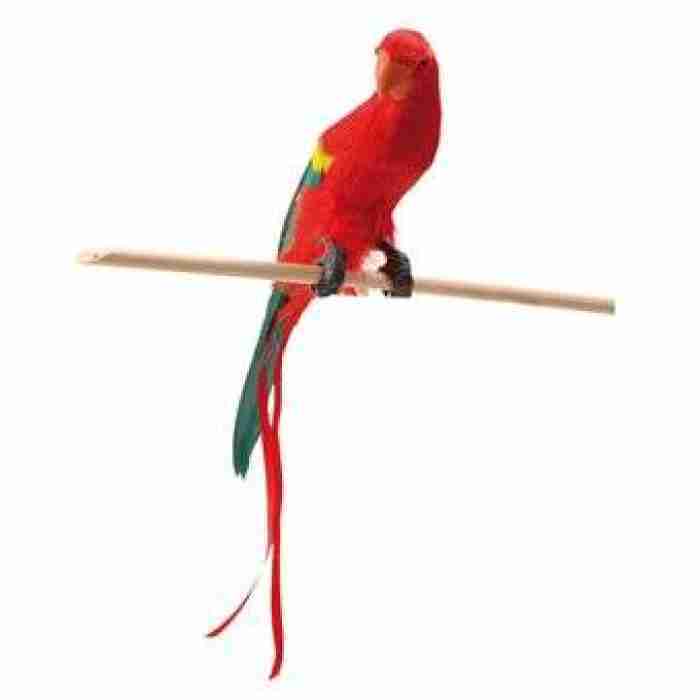 Pretty Polly Parrot 52354