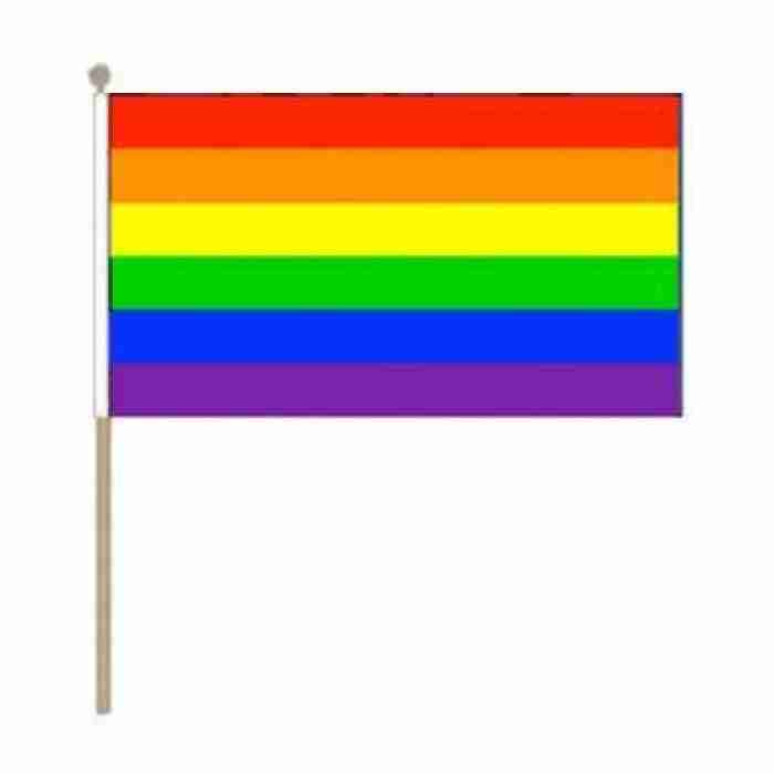 Rainbow Flag On Stick 1234