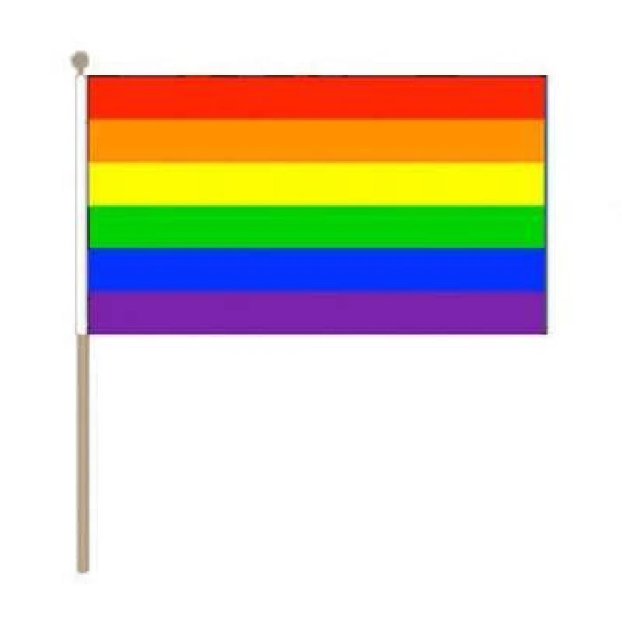Rainbow Flag On Stick - Image 1