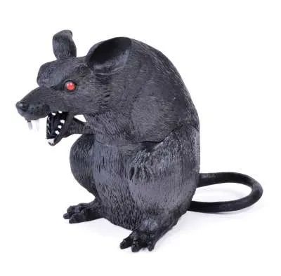 Rat sitting