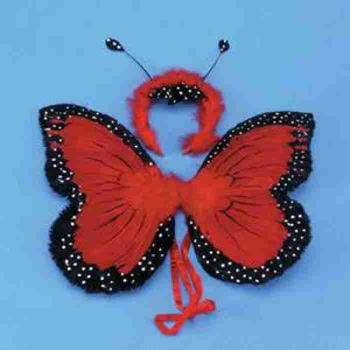 Red Feather Butterfly Wings1