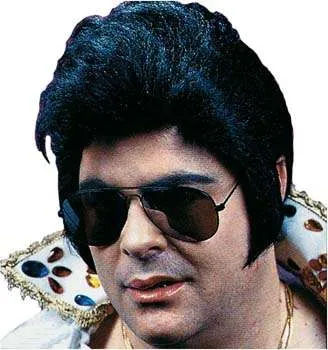 Rock N Roll Star Wig