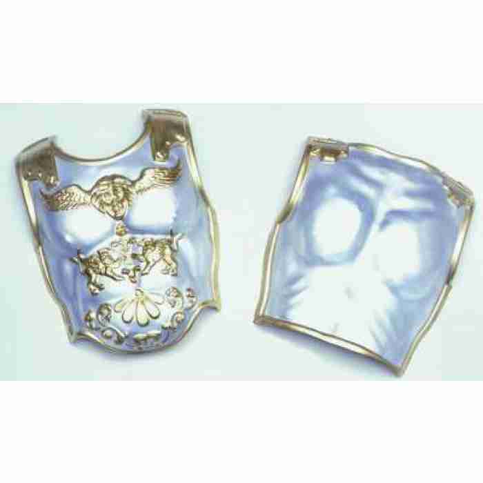 Roman Breast and Back Plate D169