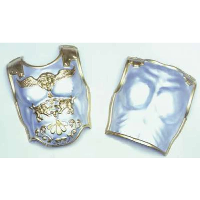 Roman Breast and Back Plate - Image 1