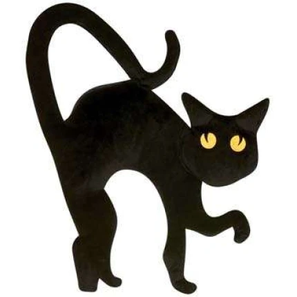 Scaredy Cat