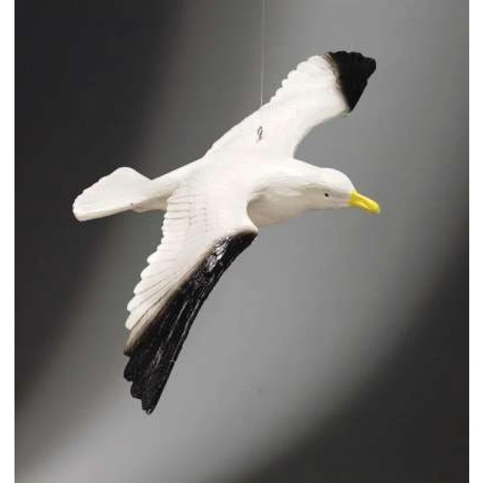 Seagull - Image 1