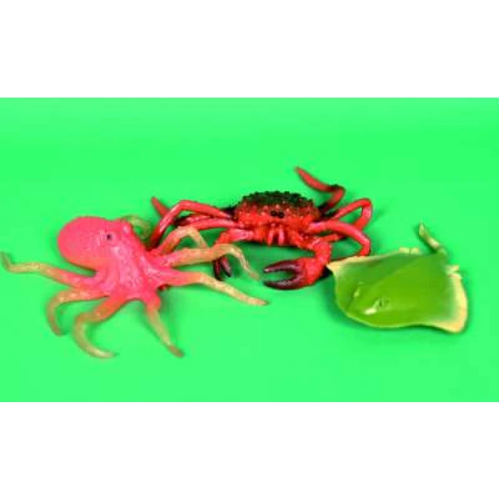 Sealife Stretch - Image 1