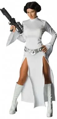 Secret Wishes Princess Leia