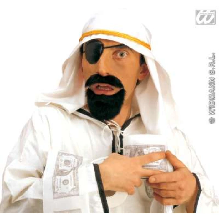 Sheik - Image 1