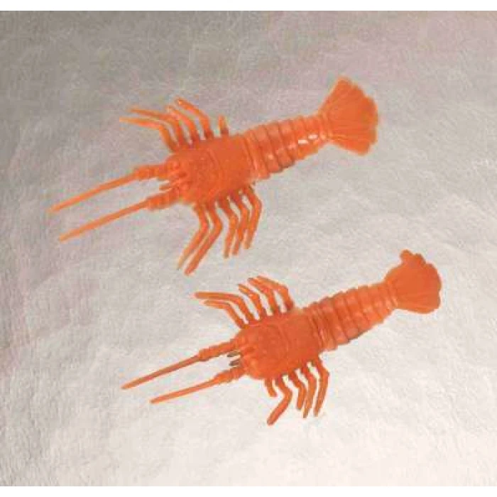 Shrimp - Image 1