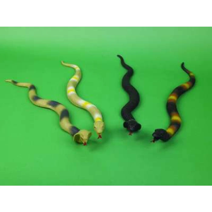 Snake Stretch - Image 1