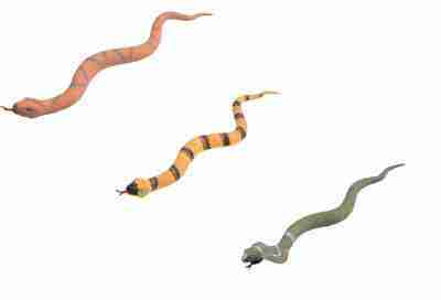 Snakes Squishy 3 Assorted