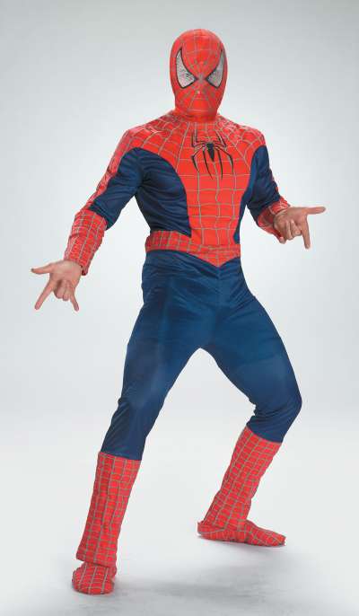Spiderman 6588 img