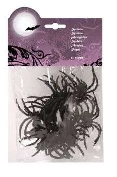 Spiders